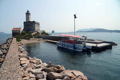 Olbia: Gulf of Olbia boat tour