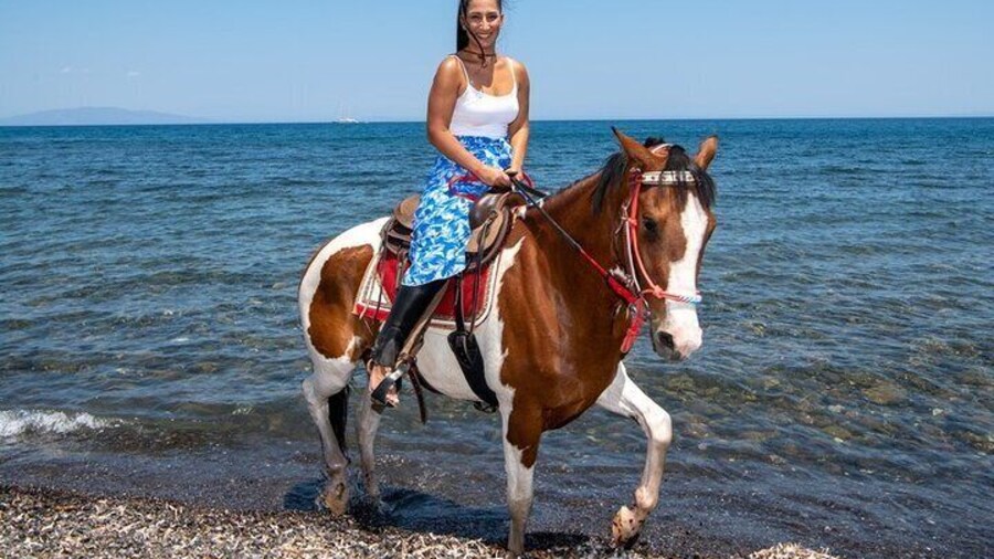 Secluded Black Beach Horseback Riding Tour in Santorini