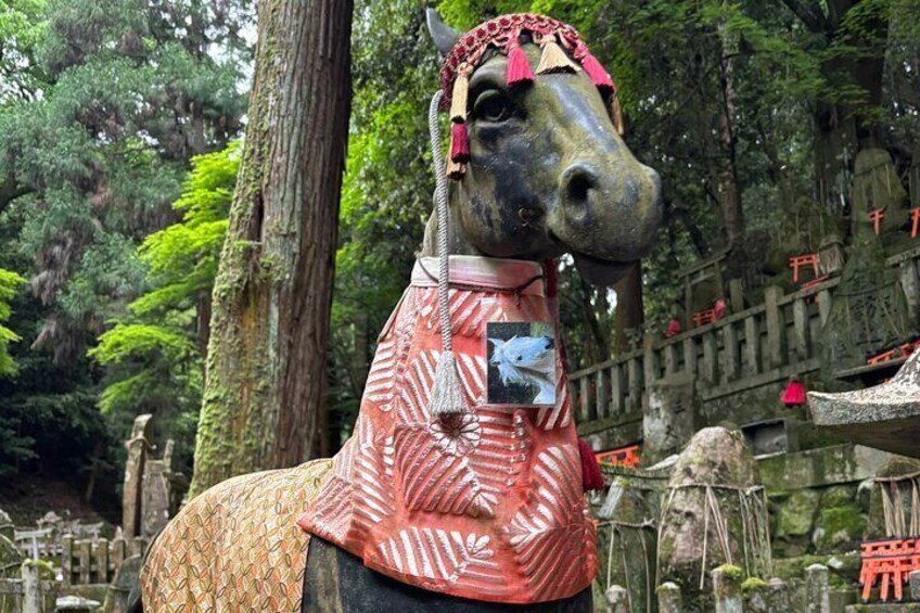 Hiking in Fushimi Inari with Local Lunch