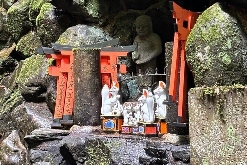 Hiking in Fushimi Inari with Local Lunch