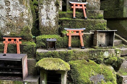 Hiking in Fushimi Inari