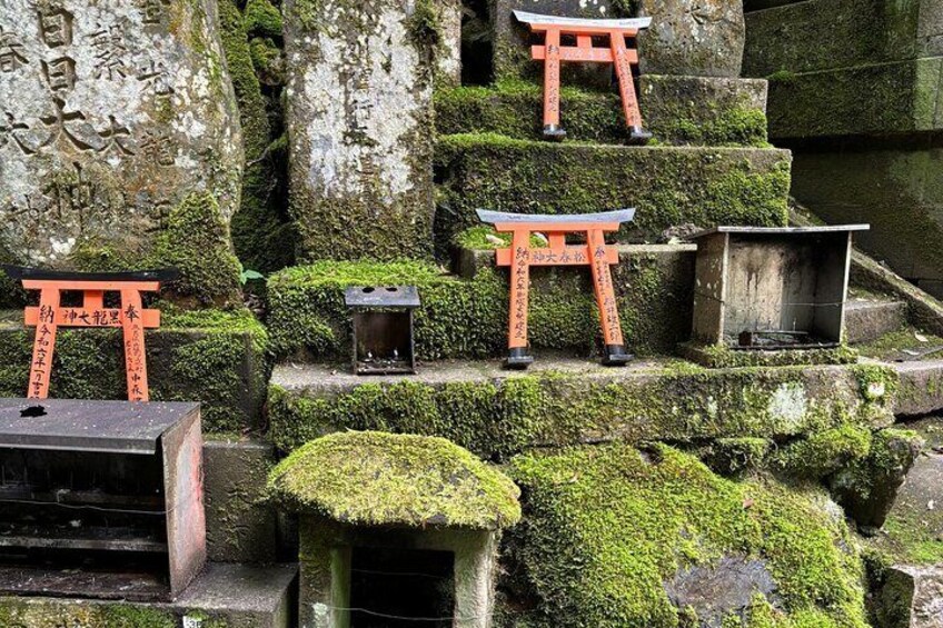 Hiking in Fushimi Inari with Local Lunch