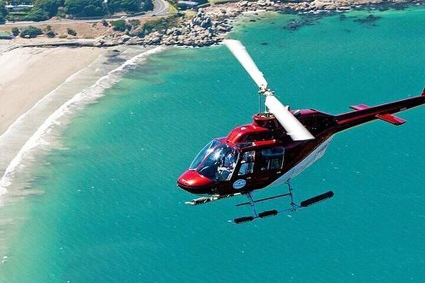 Full Peninsula Cape Point Shared Helicopter 48 minutes Day Tour