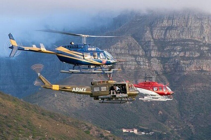 Full Peninsula Cape Point Shared Helicopter 48 minutes Day Tour