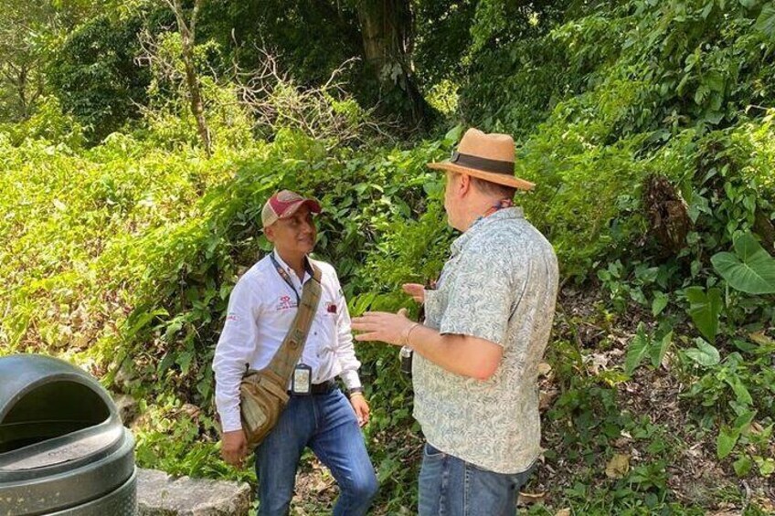 Guided Tour of Palenque 