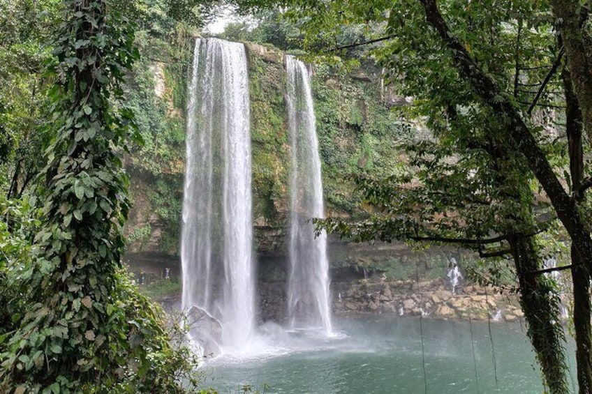 Guided Tour of Palenque 