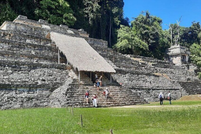 Guided Tour of Palenque 