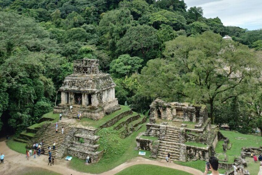 Guided Tour of Palenque 