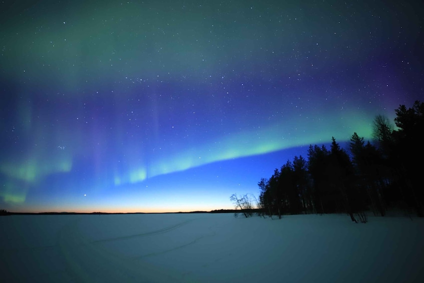 Picture 24 for Activity Levi: Aurora Borealis Bus & Snowshoe Tour with Hot Drink