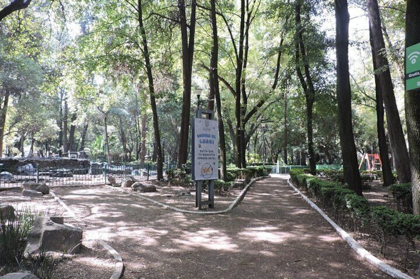 Bike tour in the Chapultepec Forest and Roma Condesa 