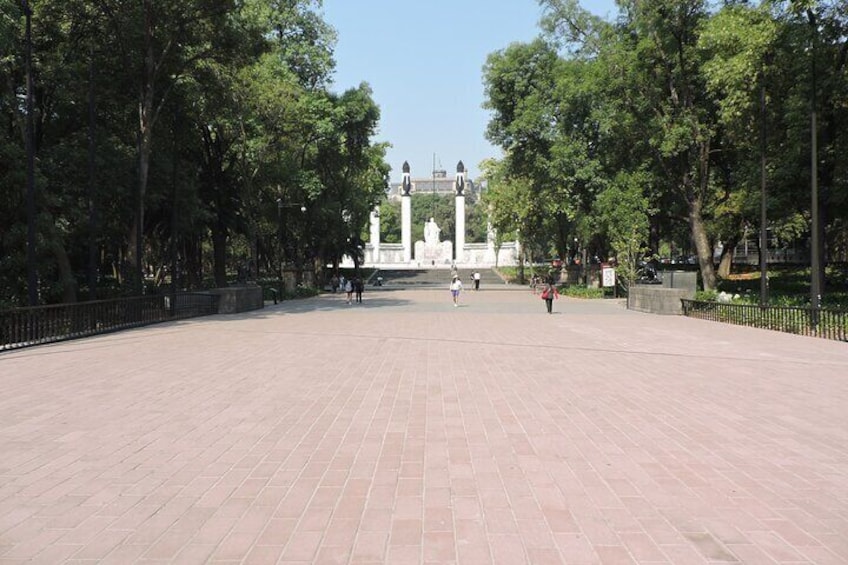 Bike tour in the Chapultepec Forest and Roma Condesa 