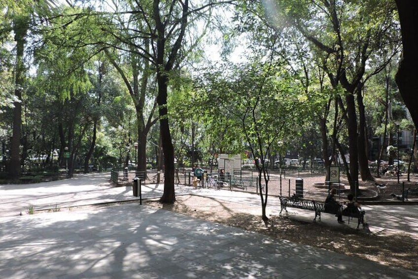 Bike tour in the Chapultepec Forest and Roma Condesa 