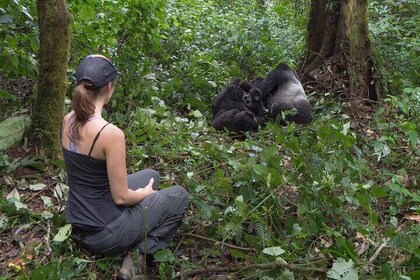 5-Days Uganda Gorilla, Chimp and Wildlife Safari