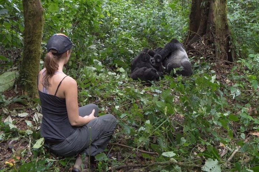 5-Days Uganda Gorilla, Chimp and Wildlife Safari