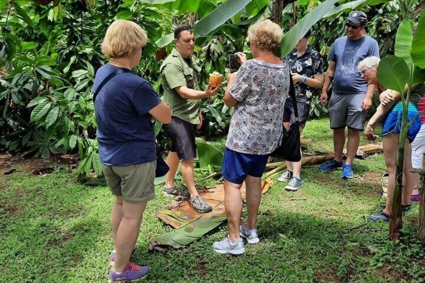 2 in 1 Safari Float and Chocolate Farm Experience