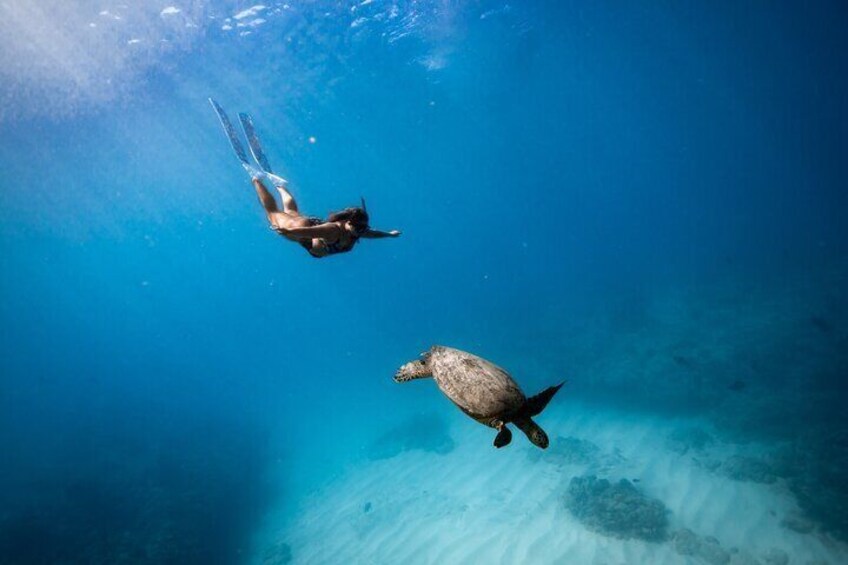 Waikiki Snorkel Boat Tour