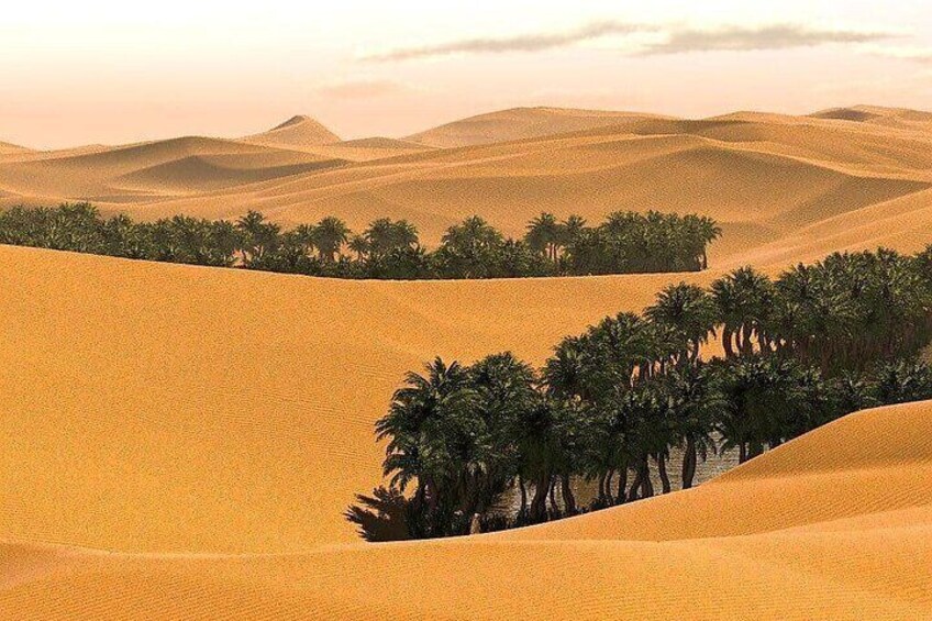 Full-Day Private Wahiba Sands Desert and Wadi Bani Khalid Tour