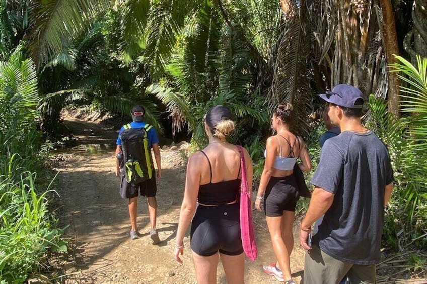 Hike and Yoga Jungle Experience in Mexico