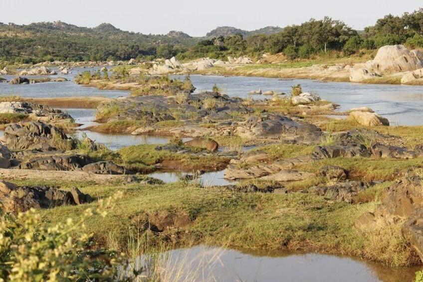 6-Day Private South to North Kruger National Park Tour