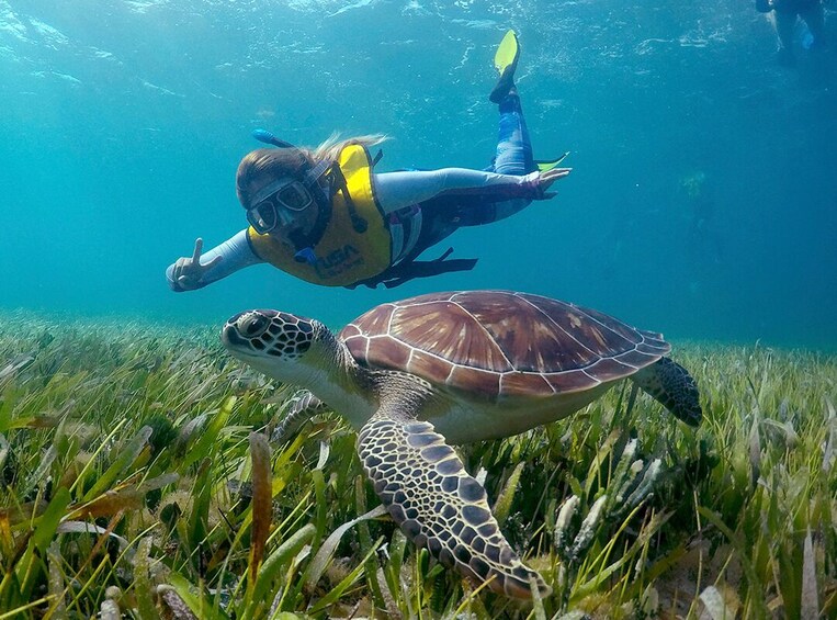 Snorkel and Parasail Cancun