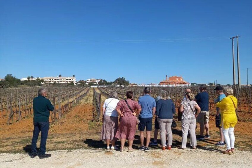 Wine and Tapas Tour - Albufeira