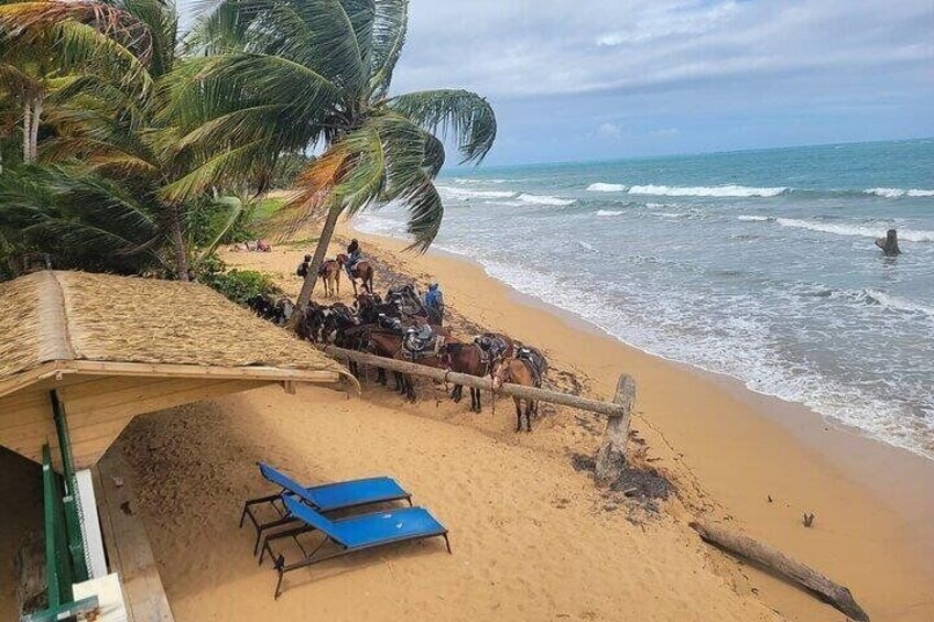6-Hour Tour Exploring the North Side of San Juan, Puerto Rico