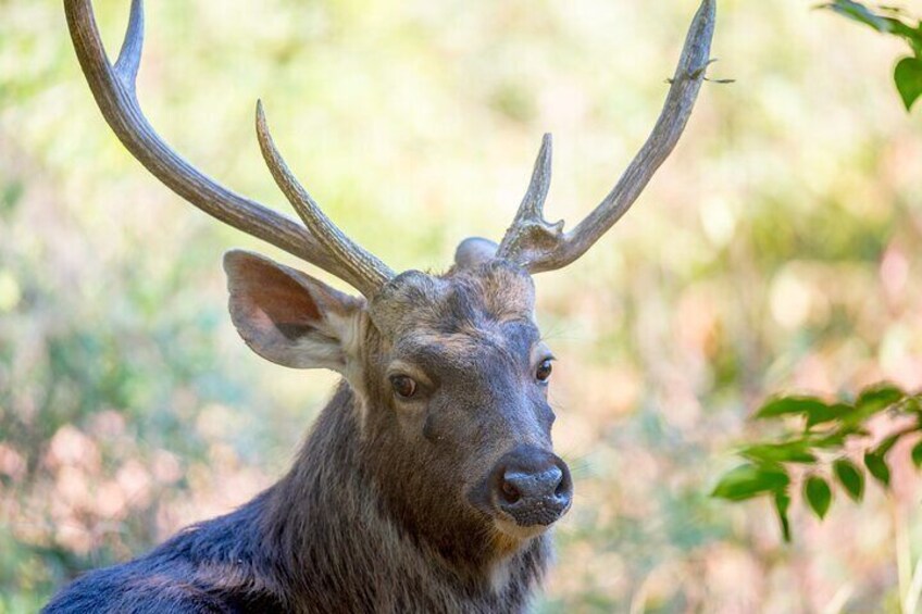 Ranthambhore Tiger Reserve