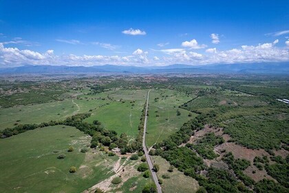 Community and Biodiversity Tour of the Tatacoa Desert. Villavieja