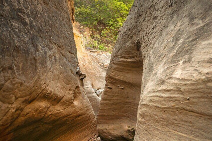 Community and Biodiversity Tour of the Tatacoa Desert. Villavieja