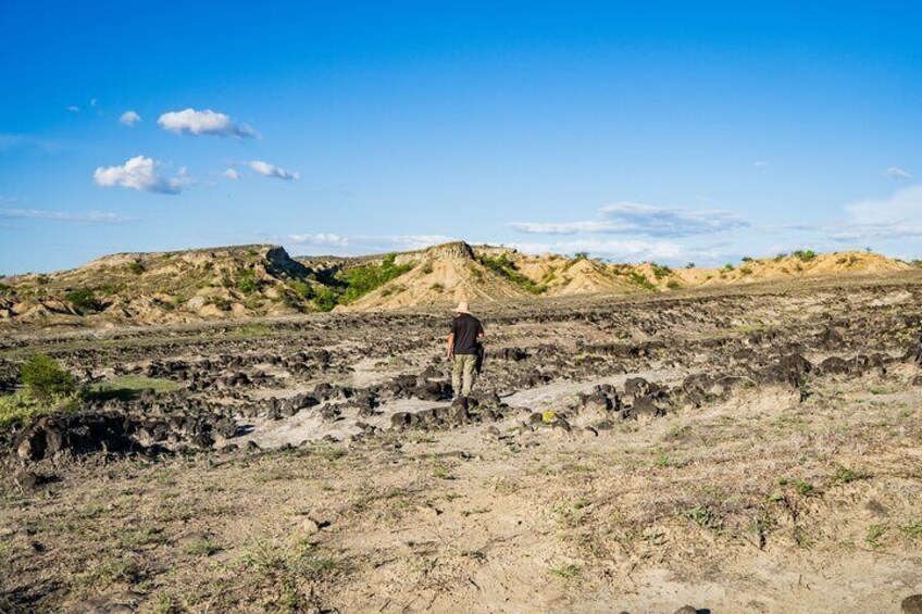 Community and Biodiversity Tour of the Tatacoa Desert. Villavieja