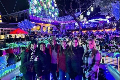 Mozarts Holiday Light Show Per Person Shared Boat on Lake Austin