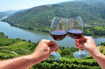 Full-Day Douro Wine Tour with Lunch, Tastings & River Cruise