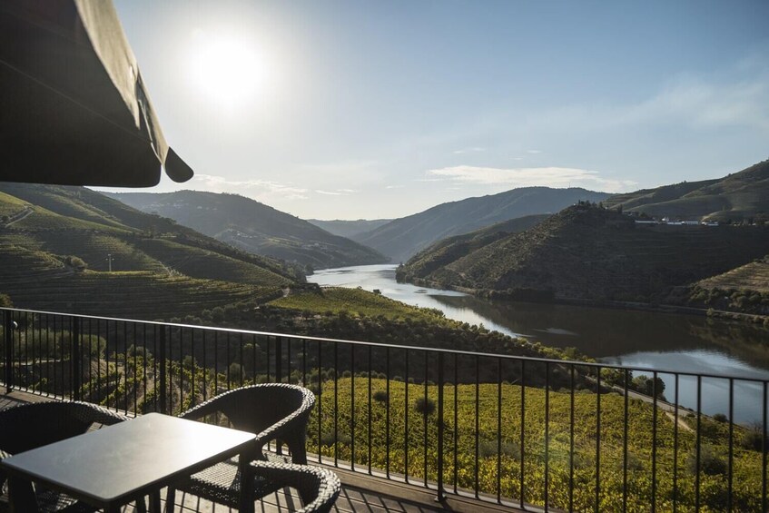 Full-Day Douro Wine Tour with Lunch, Tastings & River Cruise