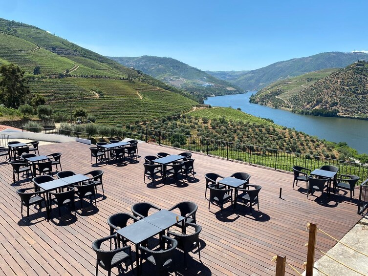 Full-Day Douro Wine Tour with Lunch, Tastings & River Cruise