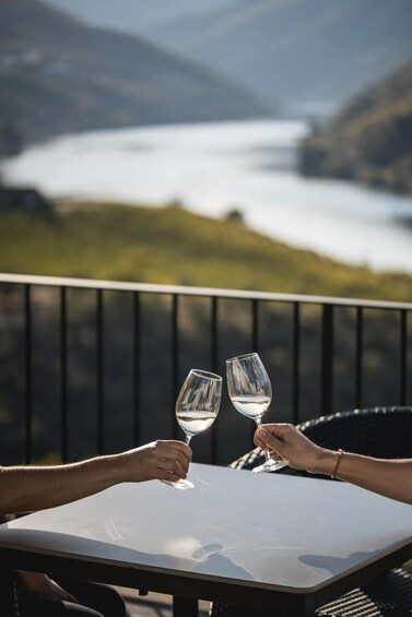 Full-Day Douro Wine Tour with Lunch, Tastings & River Cruise