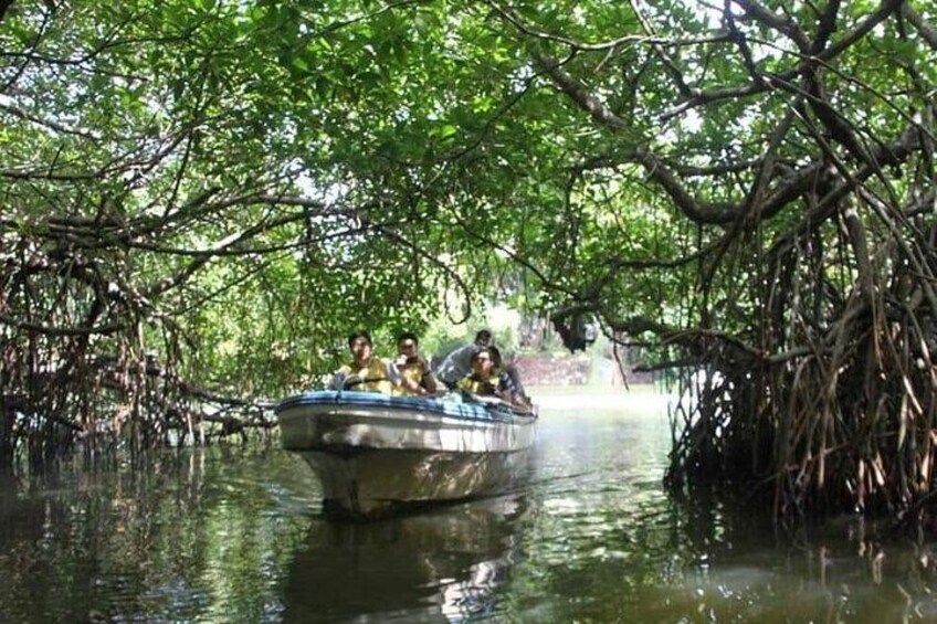 MADHU RIVER