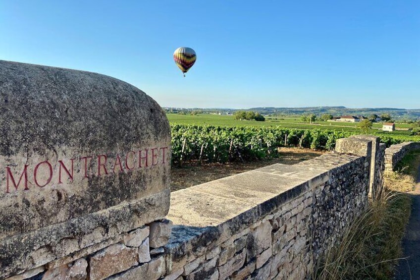 Private Guided Wine Tasting Tour Côte de Beaune And Côte de Nuits