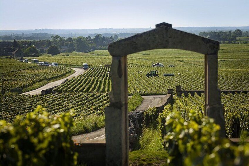 Private Guided Wine Tasting Tour Côte de Beaune And Côte de Nuits