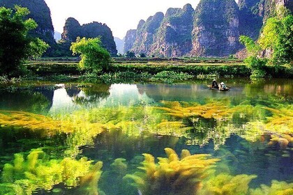 Ninh Binh 1 day tour UNESCO World Heritage: BAI DINH PAGODA - TRANG AN -MUA...