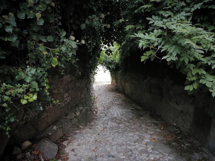 Twilight Hiking in Sintra with a Local Writer