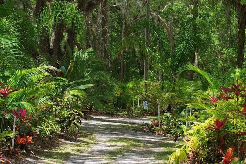 Private Walking Tour to St. John's Botanical Garden