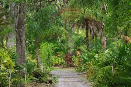 Private Walking Tour to St. John's Botanical Garden