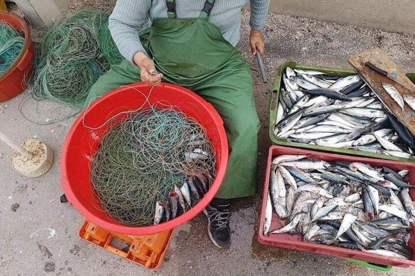 Hooked on Sesimbra