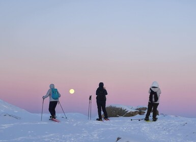 From Tromsø: Snowshoe Hike in the Arctic