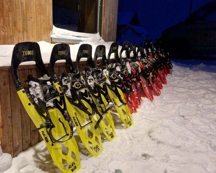 Picture 1 for Activity From Tromsø: Snowshoe Hike in the Arctic