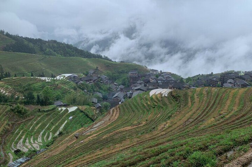 Longji Rice Terrace -- Day Trip