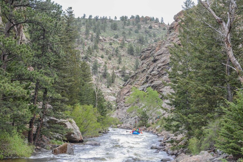 Picture 3 for Activity Denver Colorado: Close Family-Friendly Whitewater Rafting