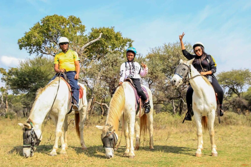 Picture 4 for Activity 2 hour Sunrise Horseback Safari