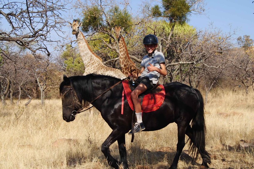 Picture 3 for Activity 2 hour Sunrise Horseback Safari