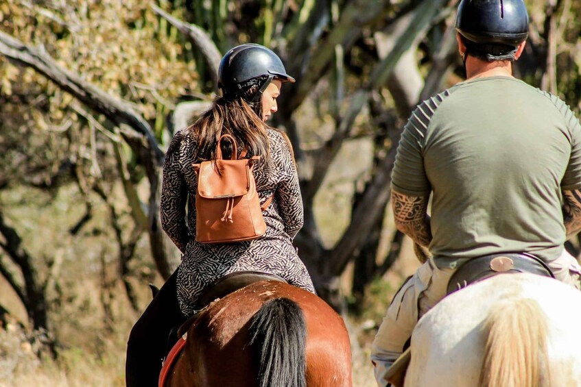 Picture 4 for Activity 2 hour Sunrise Horseback Safari
